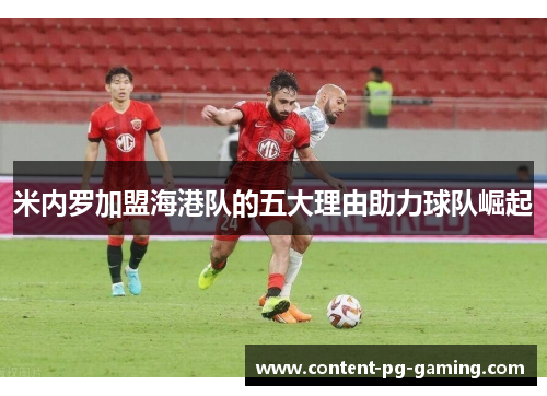 米内罗加盟海港队的五大理由助力球队崛起 米内罗加盟海港队的五大理由助力球队崛起