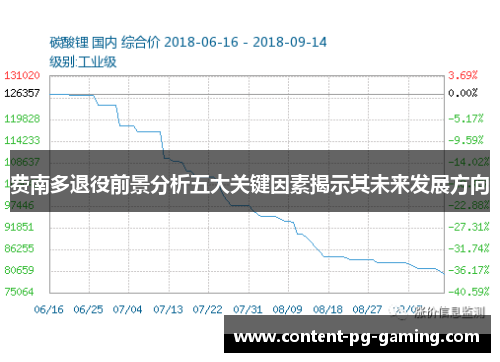 费南多退役前景分析五大关键因素揭示其未来发展方向 费南多退役前景分析五大关键因素揭示其未来发展方向