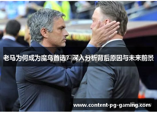 老马为何成为魔鸟首选？深入分析背后原因与未来前景