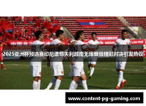 2025亚洲杯预选赛印尼遗憾失利越南无缘晋级精彩对决引发热议